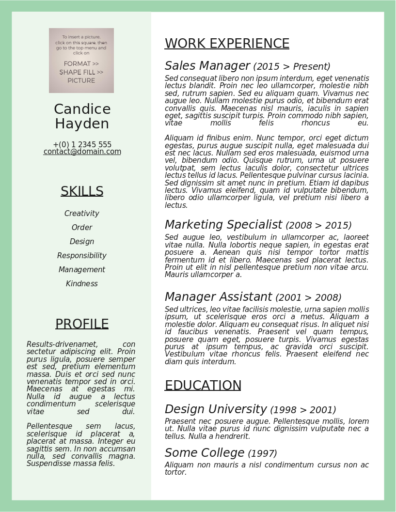 The Cognizant Candidate CV – Vorschau